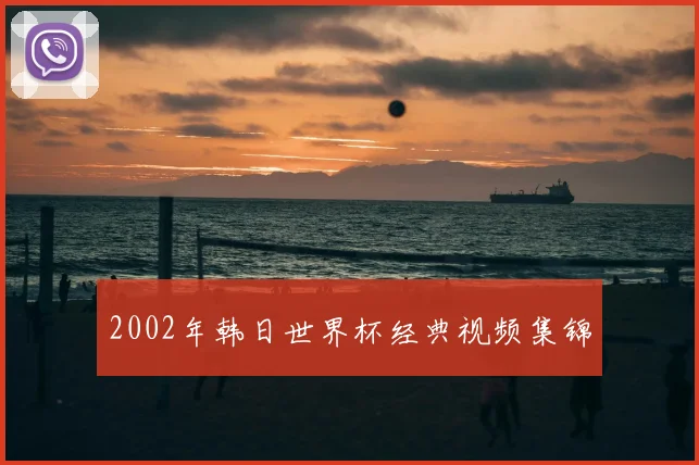 2002年韩日世界杯经典视频集锦