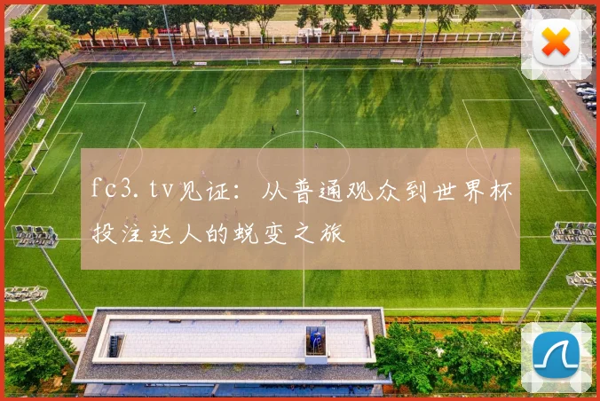 fc3.tv见证：从普通观众到世界杯投注达人的蜕变之旅