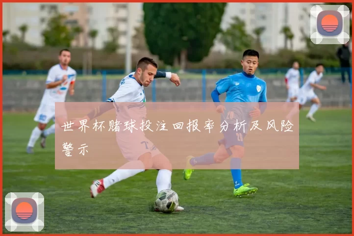 世界杯赌球投注回报率分析及风险警示