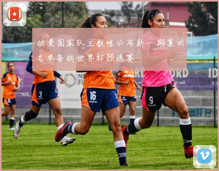 动漫国家队主教练公布新一期集训名单备战世界杯预选赛