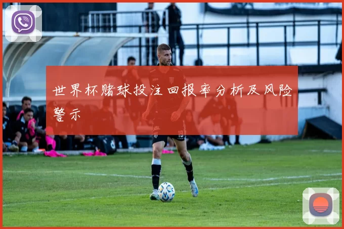 世界杯赌球投注回报率分析及风险警示