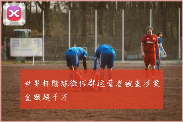 世界杯赌球微信群运营者被查涉案金额超千万